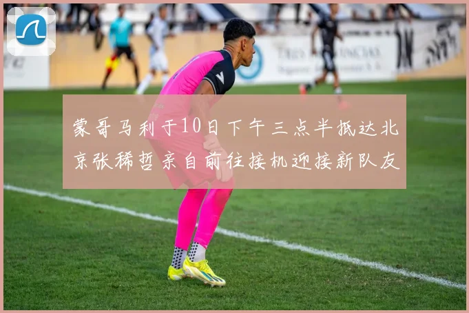 蒙哥马利于10日下午三点半抵达北京张稀哲亲自前往接机迎接新队友