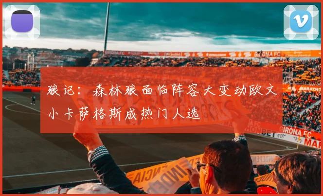 狼记：森林狼面临阵容大变动欧文小卡萨格斯成热门人选