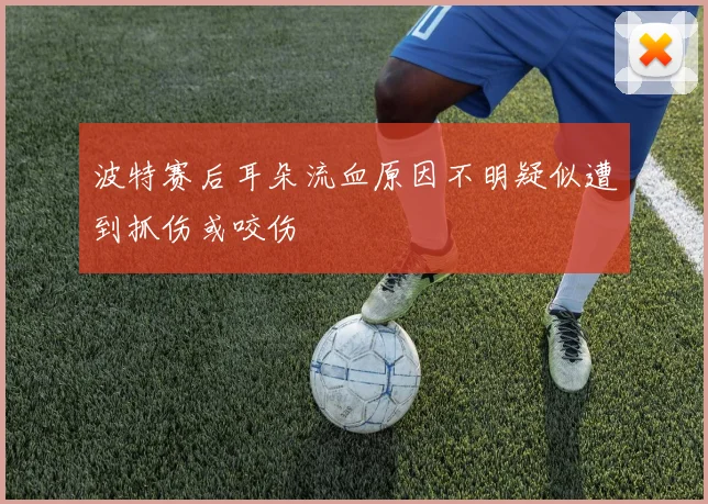 波特赛后耳朵流血原因不明疑似遭到抓伤或咬伤